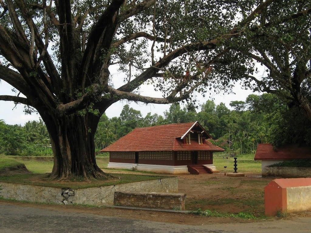 Wayanad Gate Resort Mananthavady Esterno foto