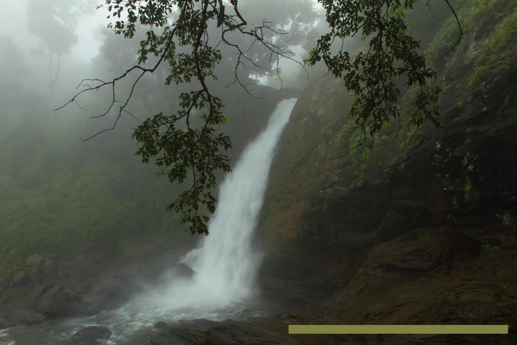 Wayanad Gate Resort Mananthavady Esterno foto