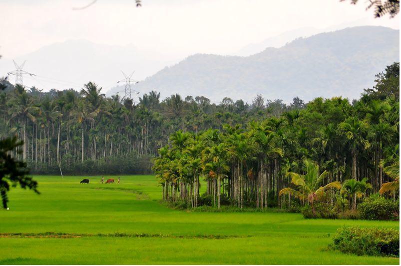 Wayanad Gate Resort Mananthavady Esterno foto