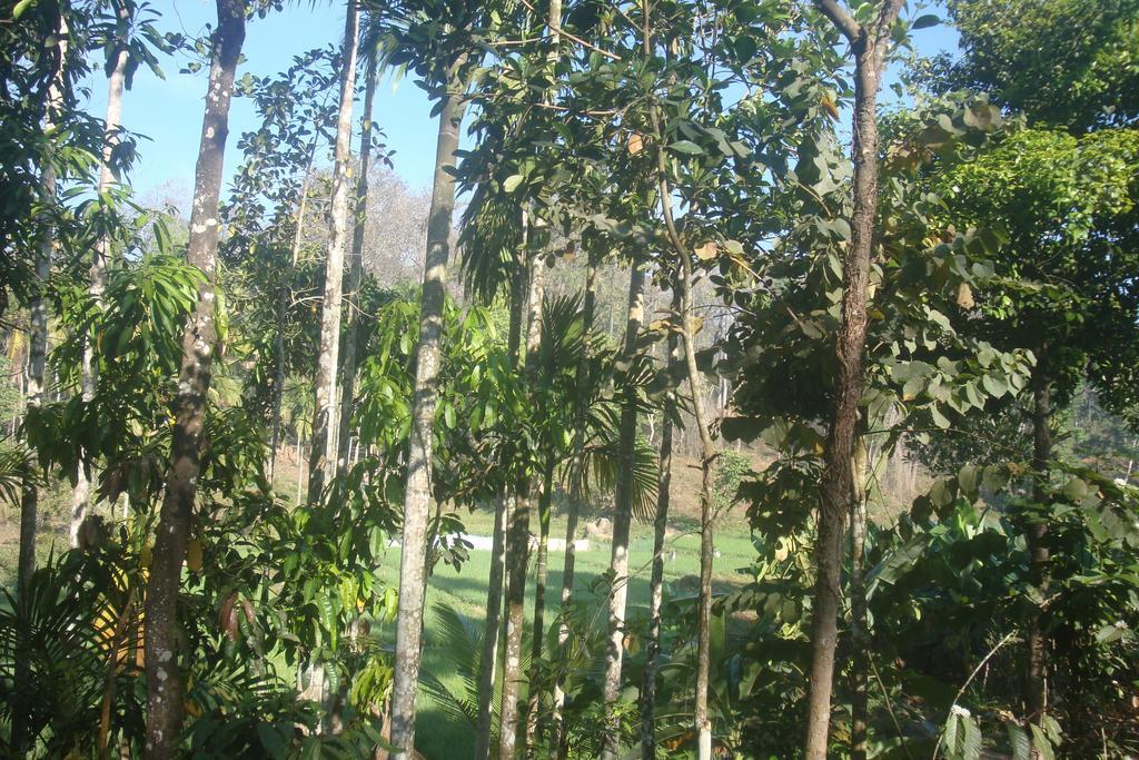 Wayanad Gate Resort Mananthavady Esterno foto