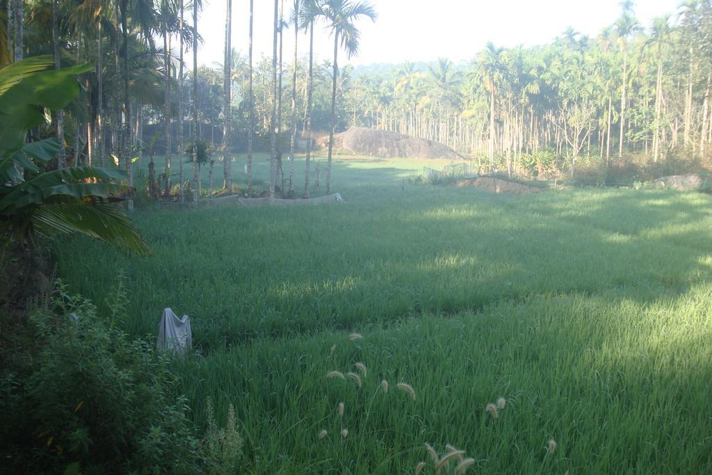 Wayanad Gate Resort Mananthavady Esterno foto